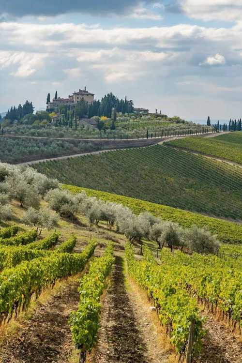 Destination Italy's wine regions