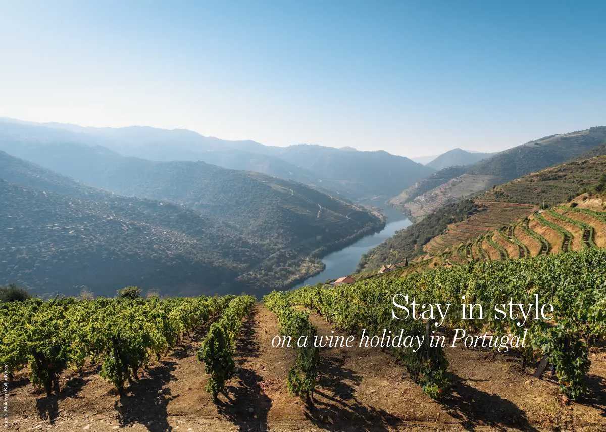 View of vineyards in Portugal